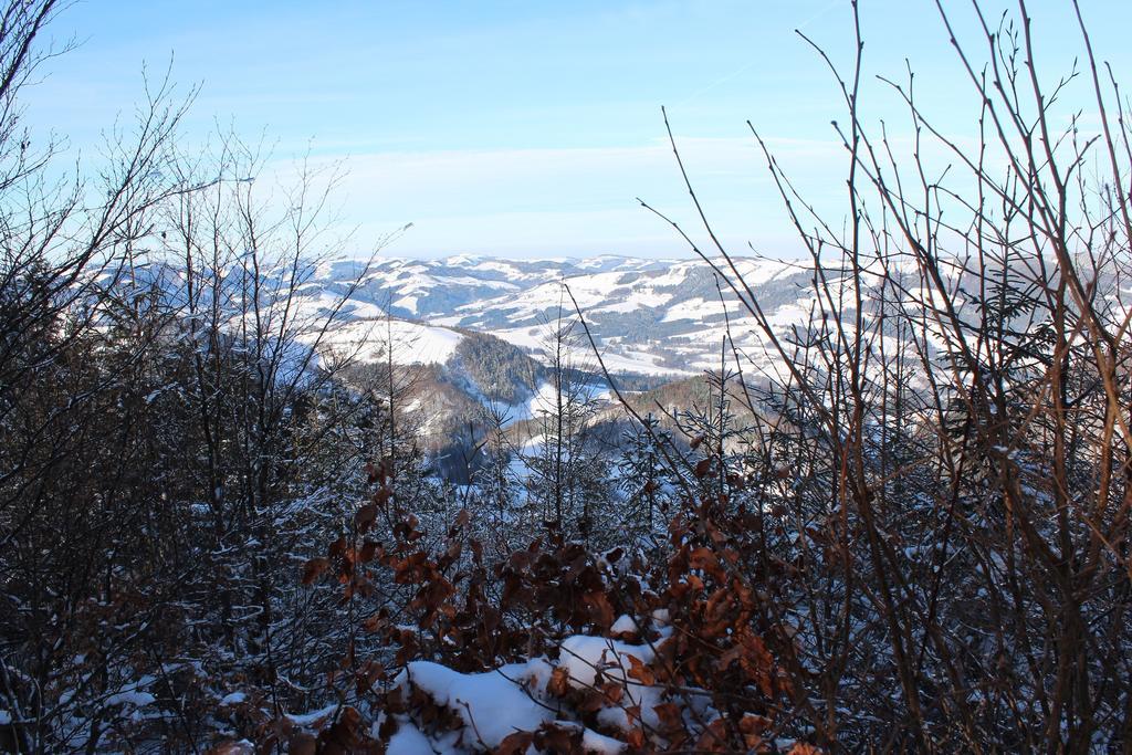 Vila Hirmhof Reinsberg Exteriér fotografie