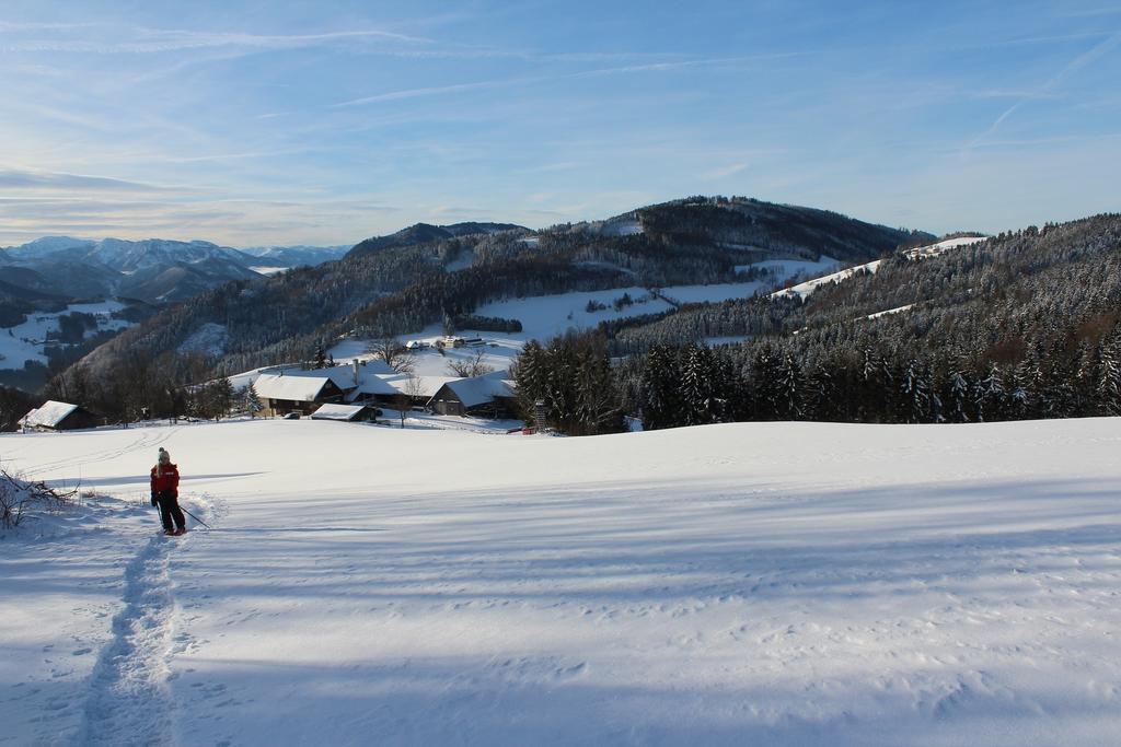 Vila Hirmhof Reinsberg Exteriér fotografie