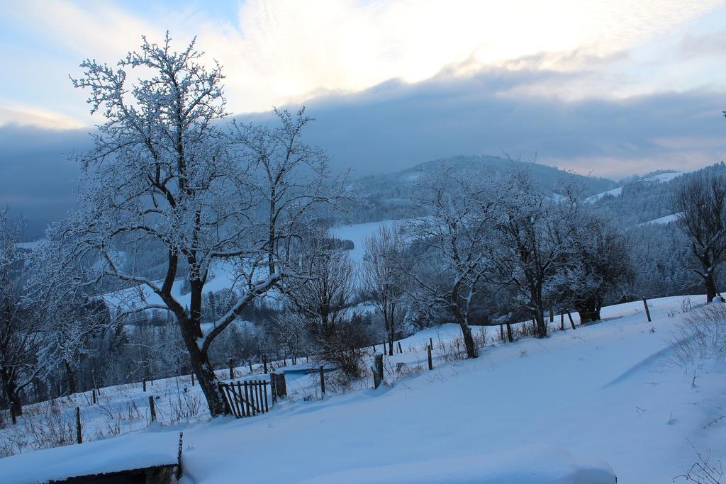 Vila Hirmhof Reinsberg Exteriér fotografie