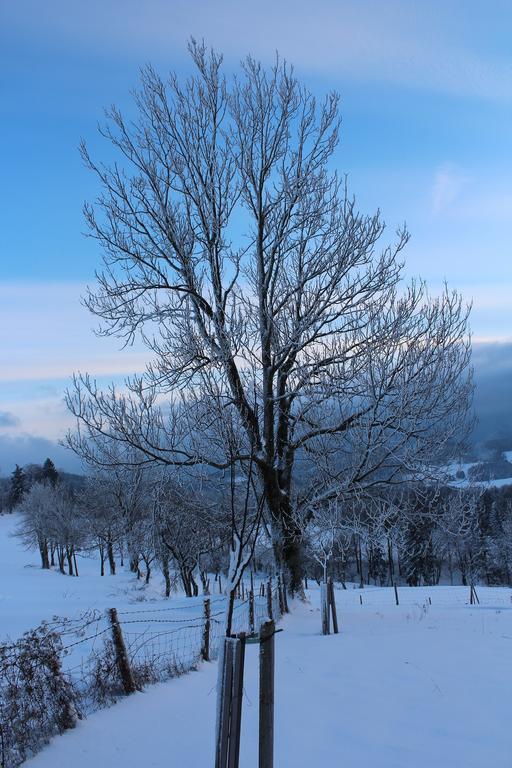 Vila Hirmhof Reinsberg Exteriér fotografie