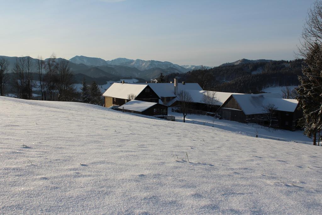 Vila Hirmhof Reinsberg Exteriér fotografie