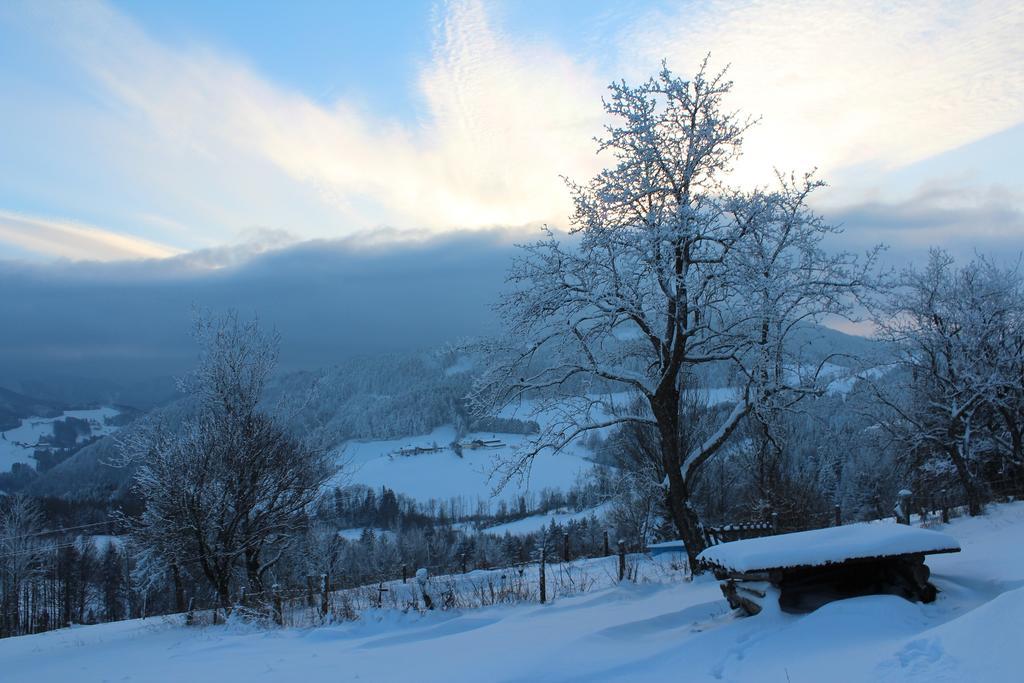 Vila Hirmhof Reinsberg Exteriér fotografie