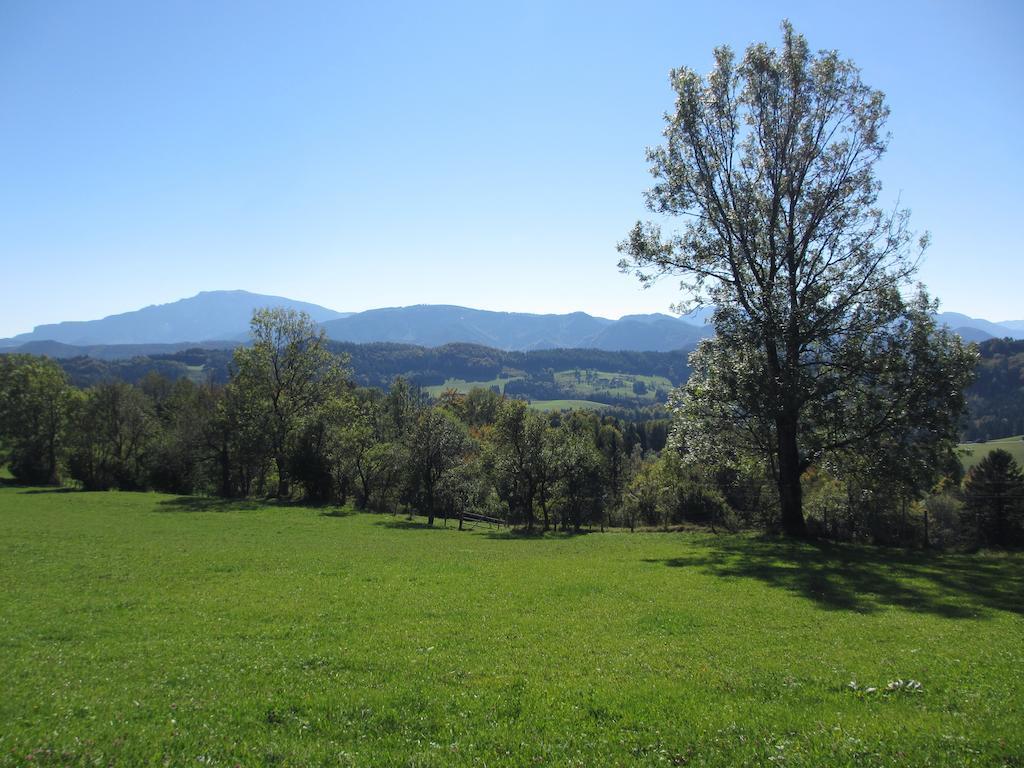 Vila Hirmhof Reinsberg Exteriér fotografie