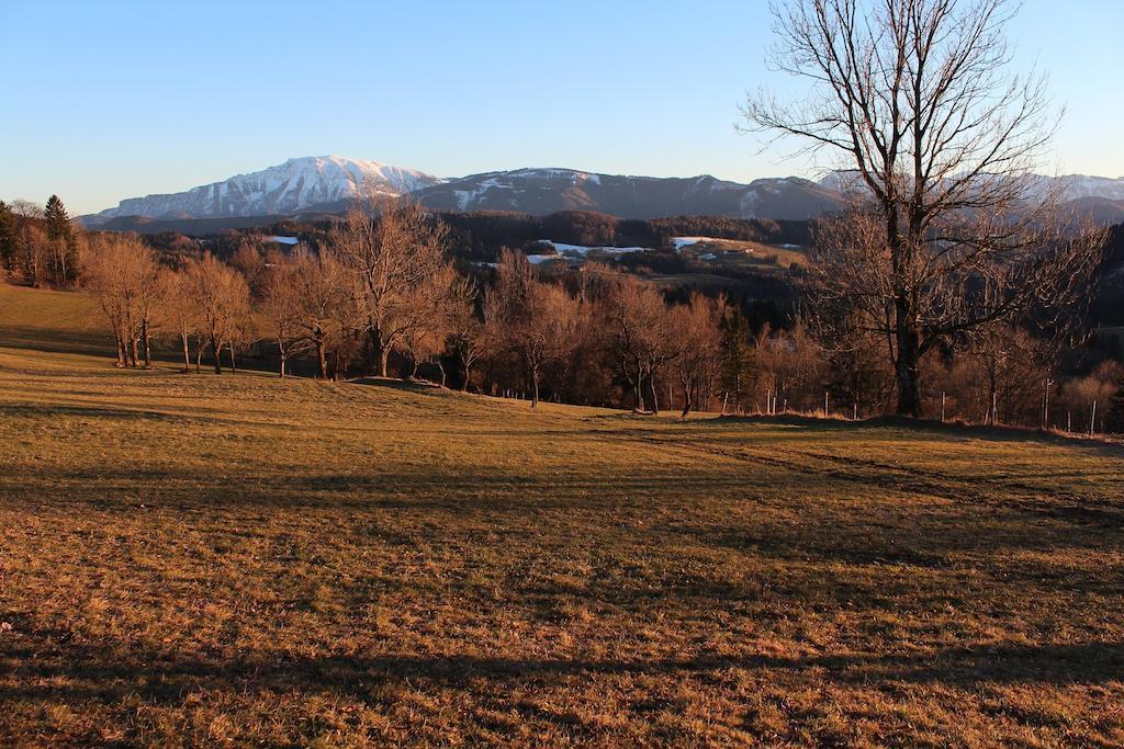 Vila Hirmhof Reinsberg Exteriér fotografie