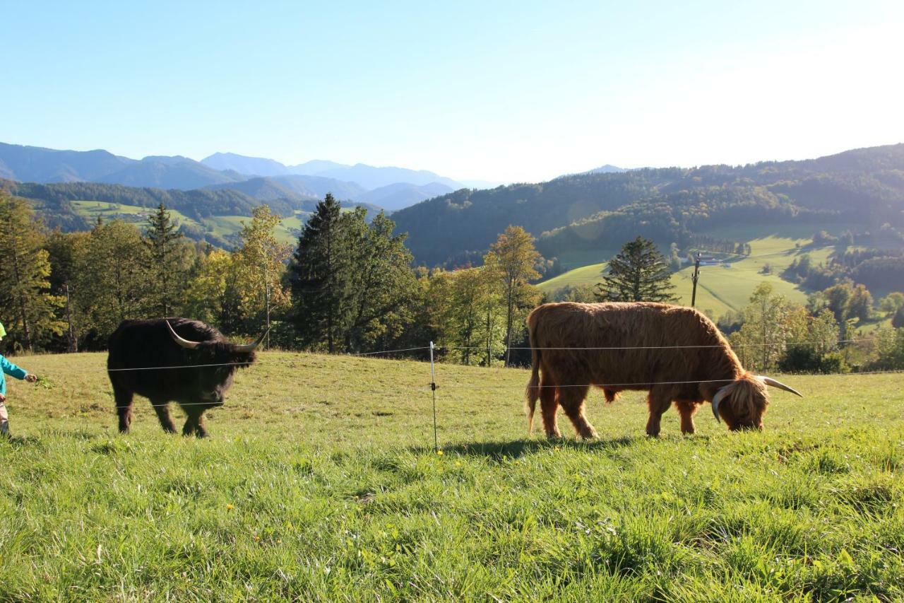 Vila Hirmhof Reinsberg Exteriér fotografie