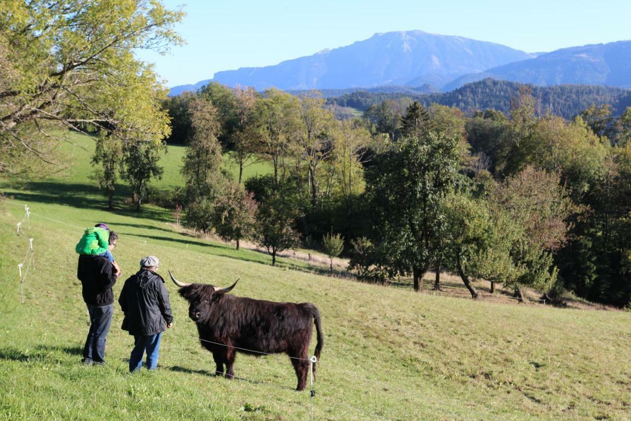 Vila Hirmhof Reinsberg Exteriér fotografie