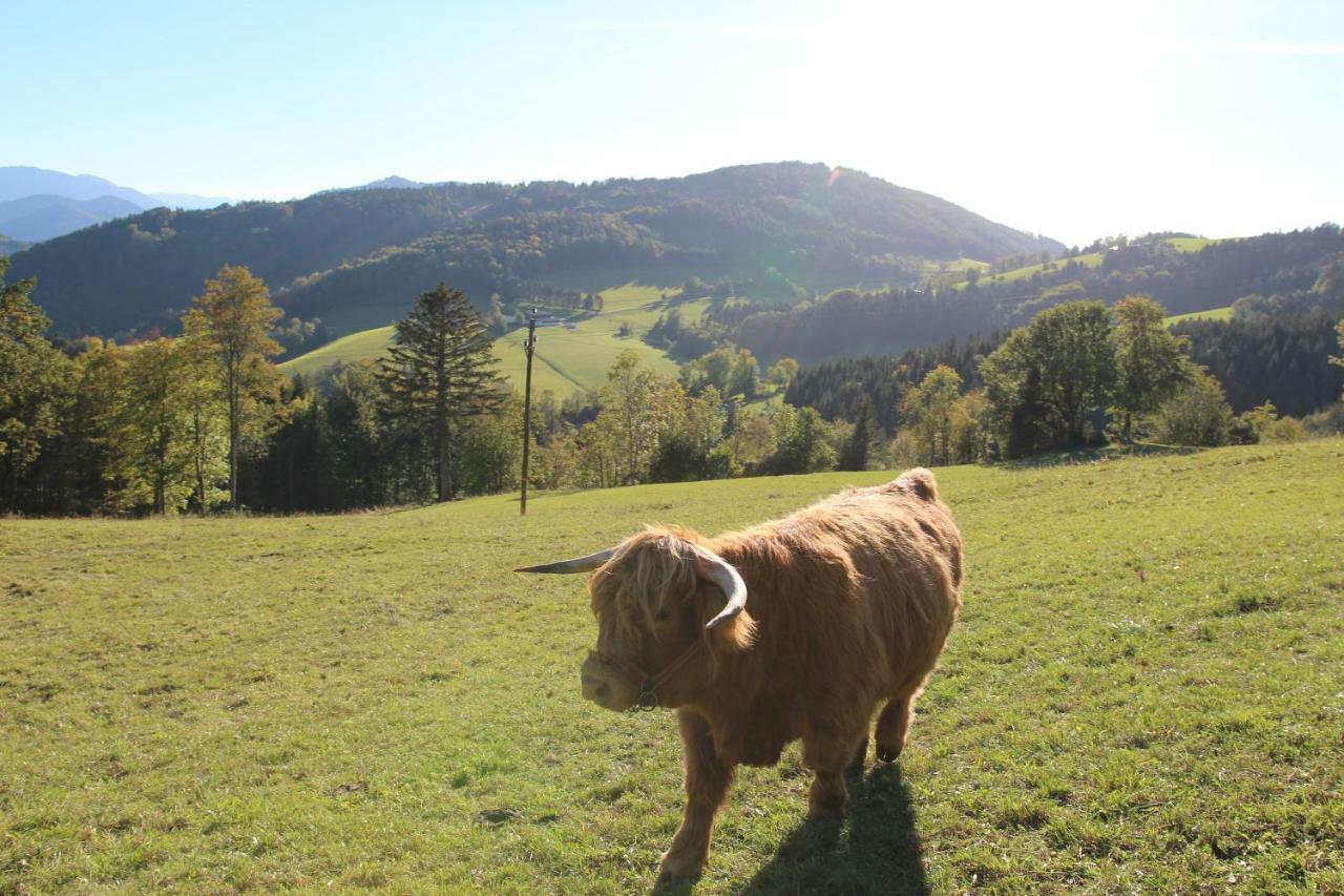 Vila Hirmhof Reinsberg Exteriér fotografie